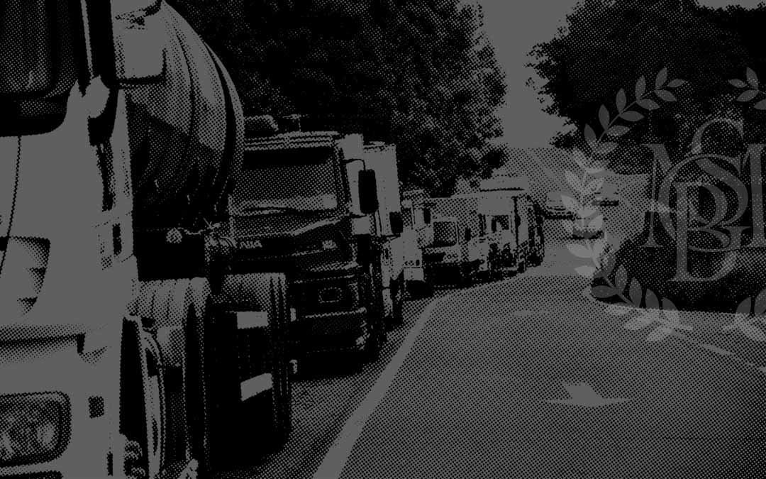 Greve –  10 coisas que (talvez) você não saiba!